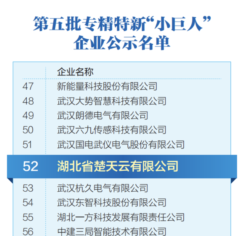 国度级专精特新“幼巨人”企业